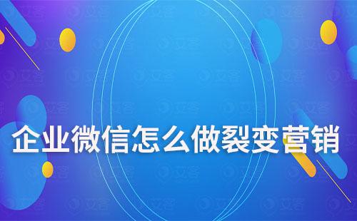 企業微信怎么做裂變營銷